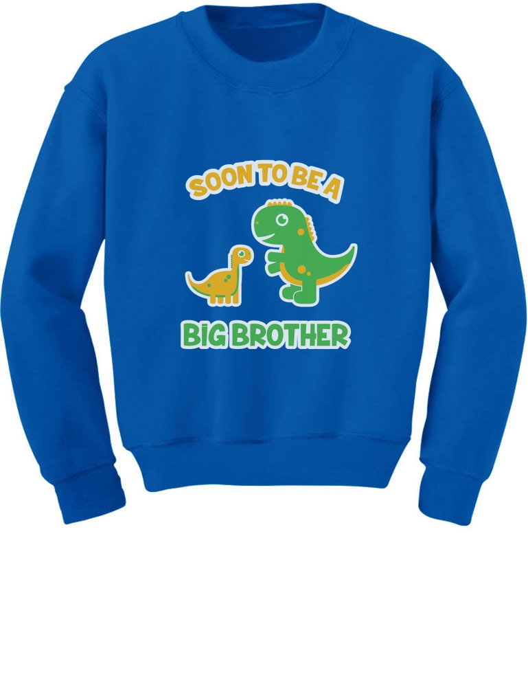 Tstars Santa is Promoting Me to Big Sister Christmas Promoted Toddler Hoodie
